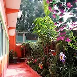 Hermoso Depa De 3 Recamaras Y 2 Banos En El Centro De Coyoacan