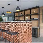 Polanco Designer Apartament