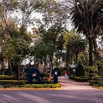 Modern Studio, Rooftop Charm, Cdmx Center2