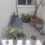 Habitacion En Departamento Cerca Del Zocalo