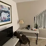 Casa Tavo King
