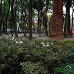 Loft Comodo Y Privado | Colonia Condesa!