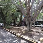 Condesa Vs9