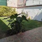 Vertiz Pasos Del Parque De Los Venados H4