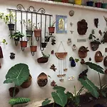 Bugambilias
