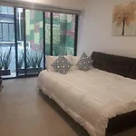 Guadalupe Inn Cdmx, Nuevo Estrena