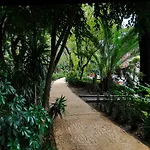 Aikia City Cdmx