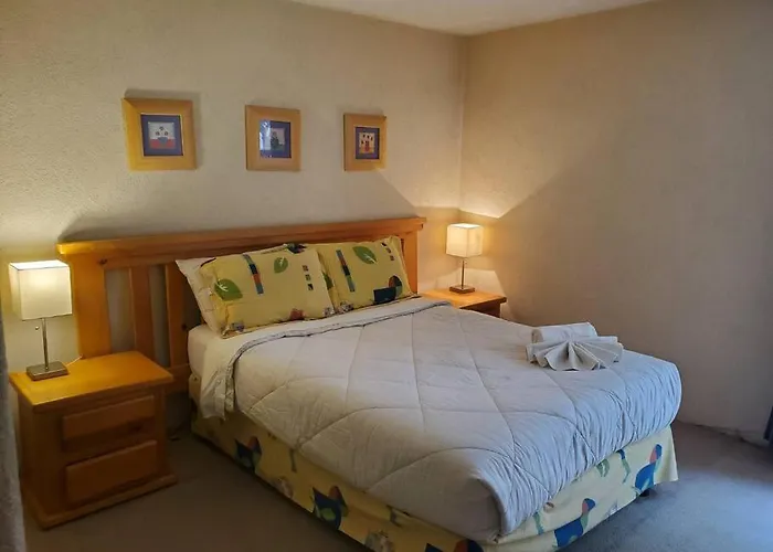 JUUB Cozy apartment @ Copilco UNAM