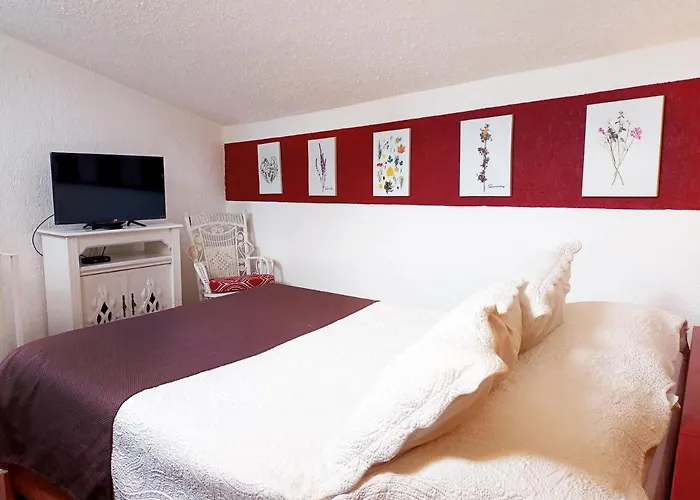 Suite 3C, Jacaranda, Garden House, Wewlcome to San Angel