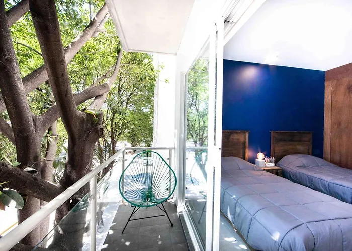 DestinationMx @Xola Close to Condesa