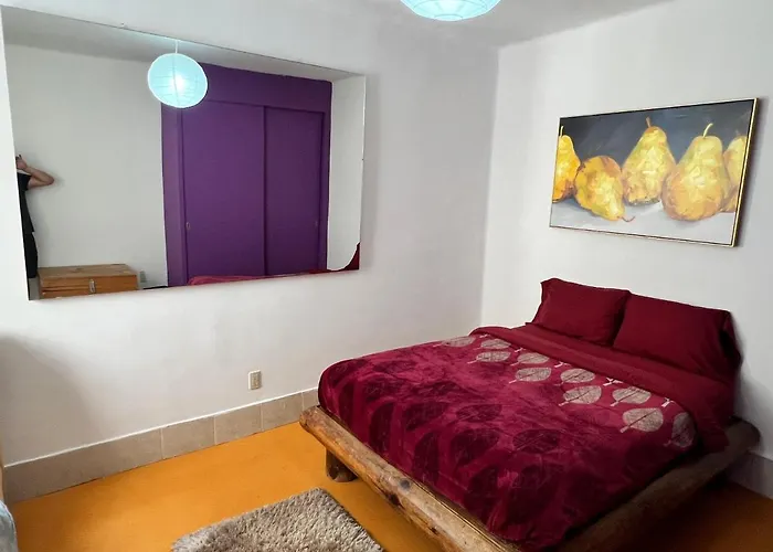Condesa-Roma Norte Charming Mexican Style Apartment