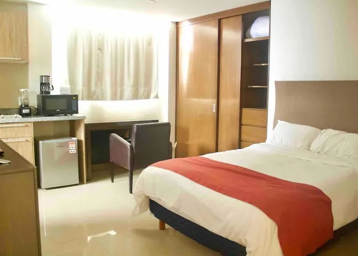 Comfortable And Cool Suite In Polanco With Gym