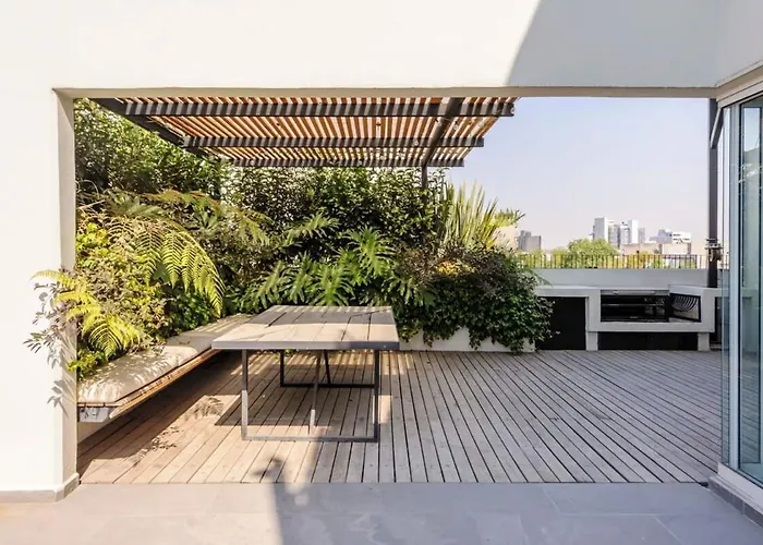 Stunning Penthouse With Terrace In Condesa