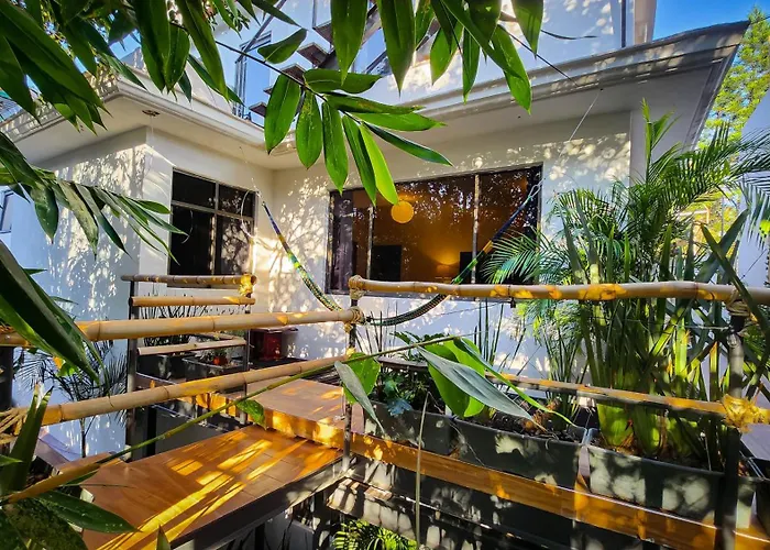 Mansion Bamboo