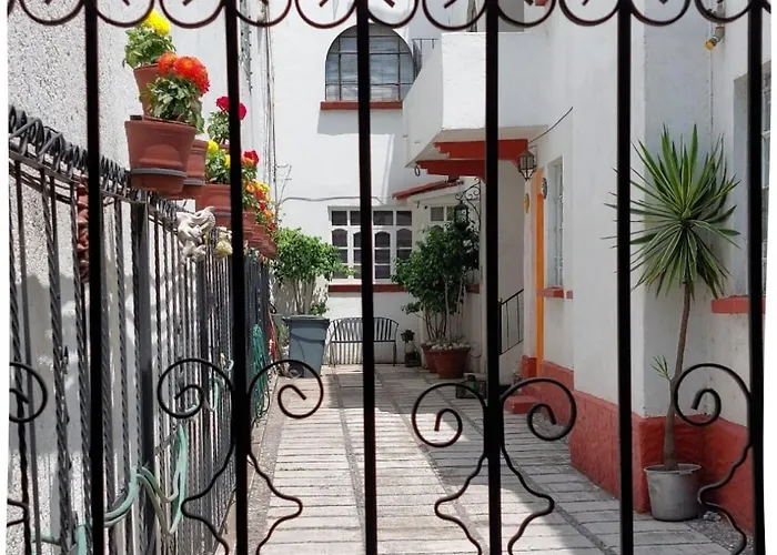 Acogedor Departamento Con Entrada Independiente