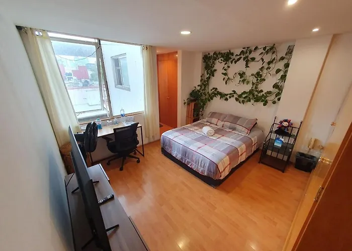 Private Room In Roma Norte