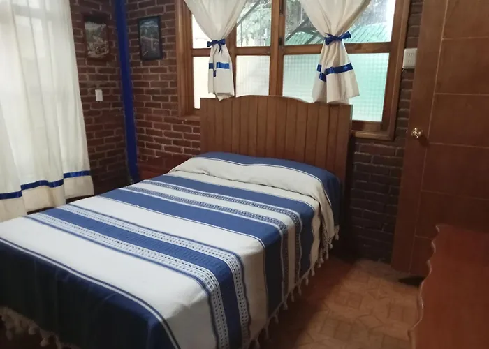Coyoacan Departamento Tipo Colonial
