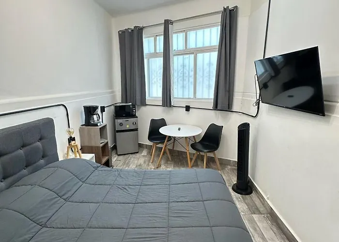 Cozy Oasis In La Condesa