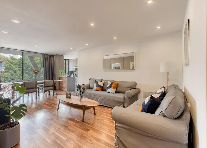 Comfortable Apartment In Condesa