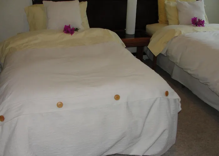 Steinhaus Suites Homero