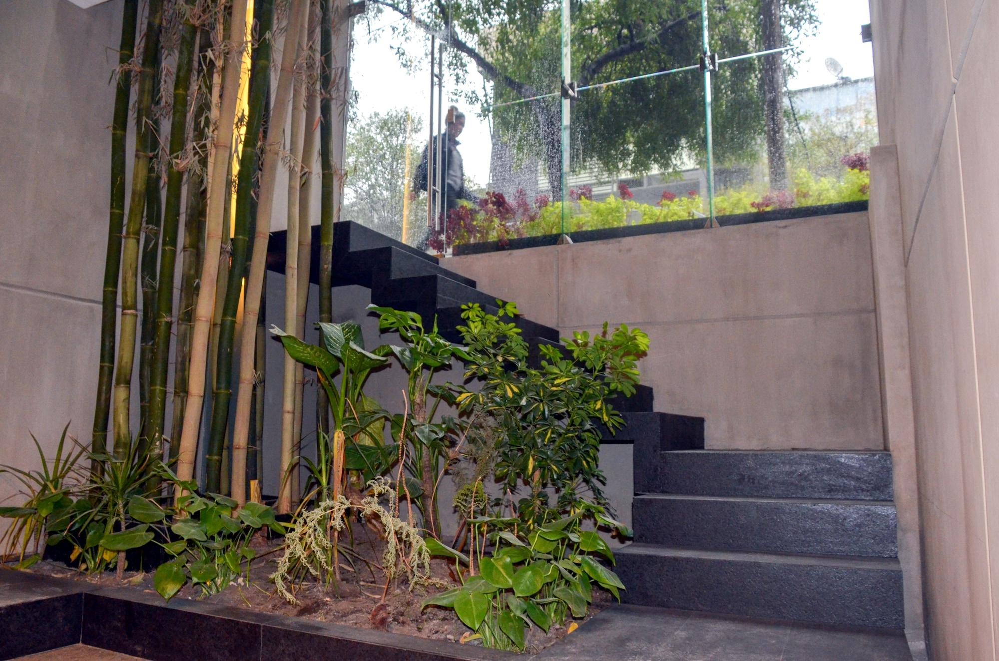 Hotel Armonik By Casanevo Mexico City
