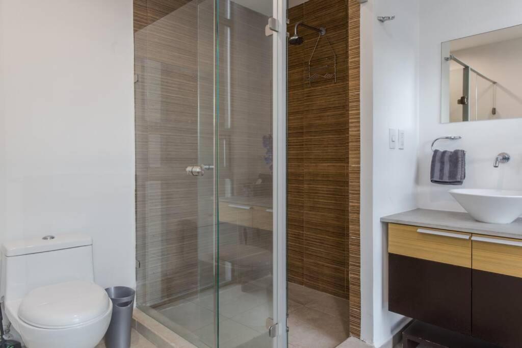 Espectacular Loft En Ph Zona Polanco D Apartment