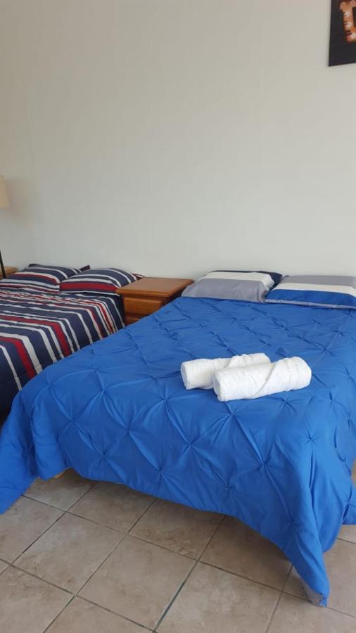 Apartamento Xochimilco Hermoso Departamento Loft Junto A Trajineras *