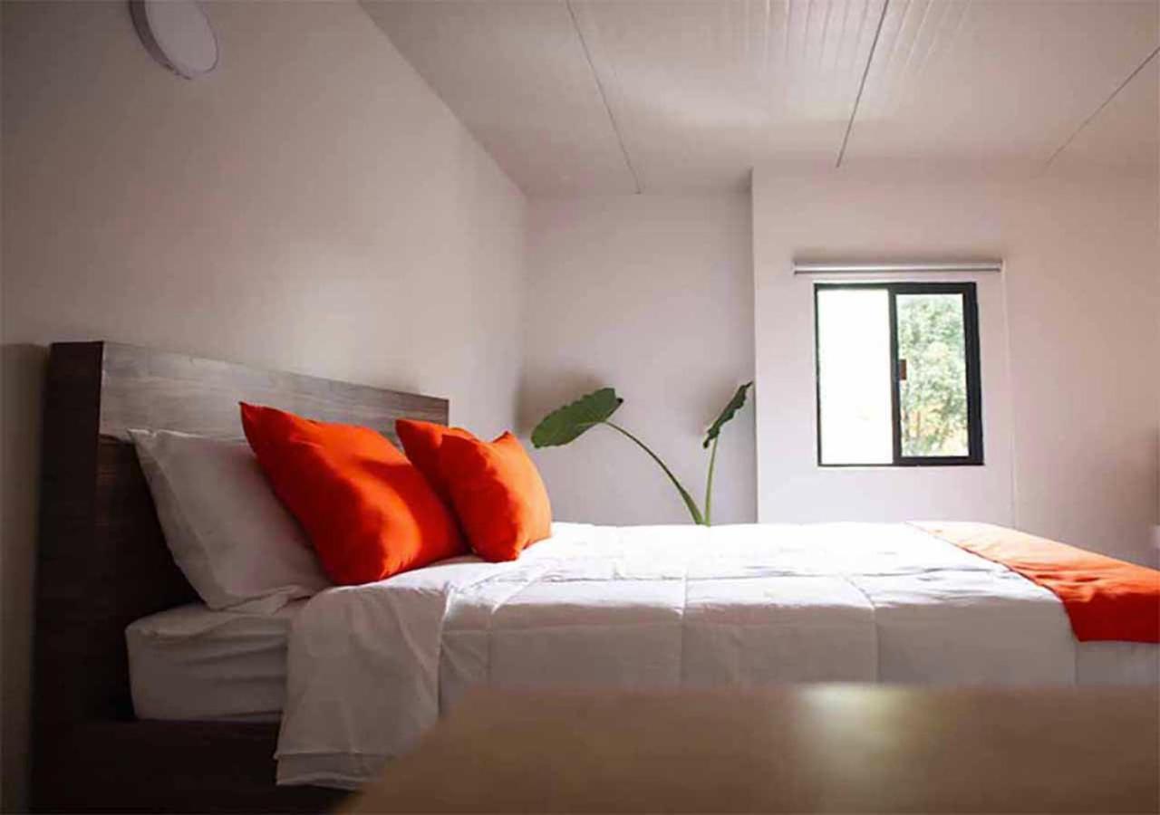 Guest house Colmena Tonala