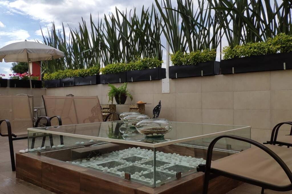 Departamento Frida Kahlo - Dpto De 1 - Bella Terraza Comun - Zona Tranquila En Cdmx Apartamento Cidade do México