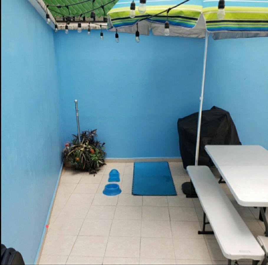 Apartamento Terraza, Centrico Wtc, Condesa, Pet Friendly