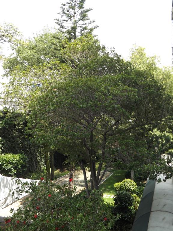 Pedregal Palace Hotel Mexico City