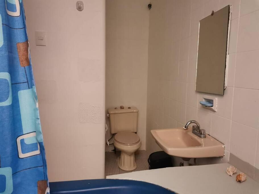 Apartamento Encantador - Céntrico - Apacible Departamento En La Roma Norte. *