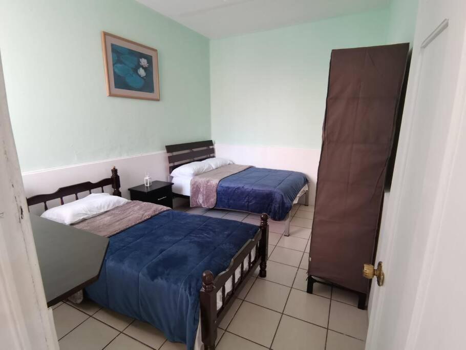 Encantador - Céntrico - Apacible Departamento En La Roma Norte. Apartamento *