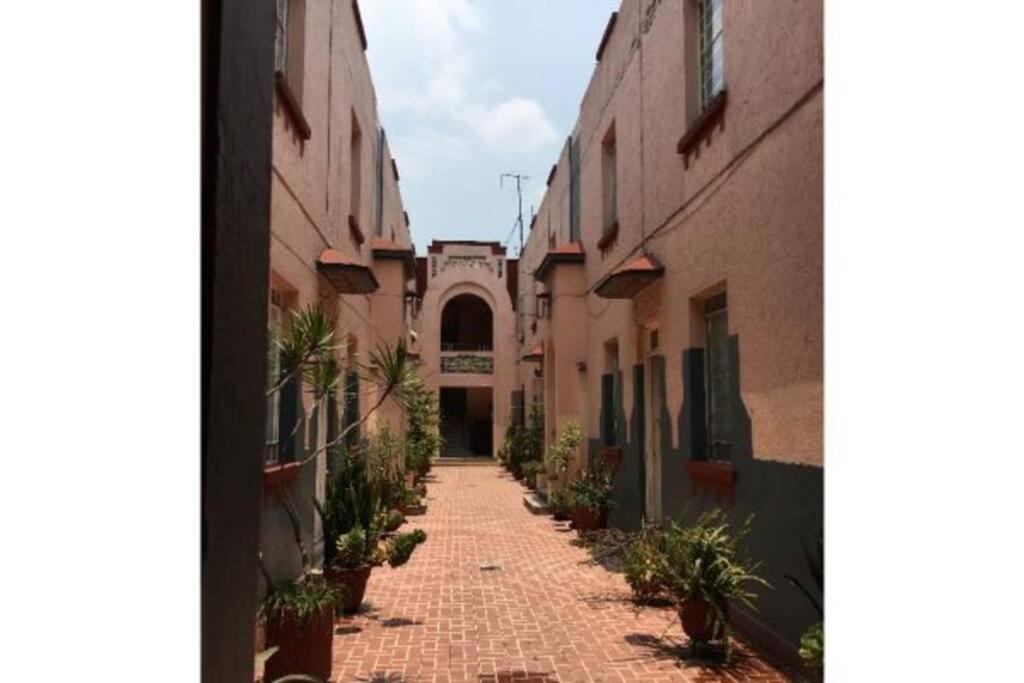 Apartamento Encantador - Céntrico - Apacible Departamento En La Roma Norte. *