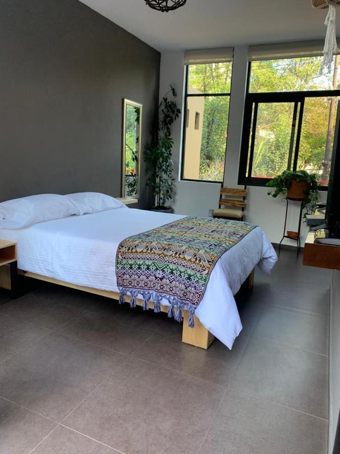The Reef House Condesa Mexico City