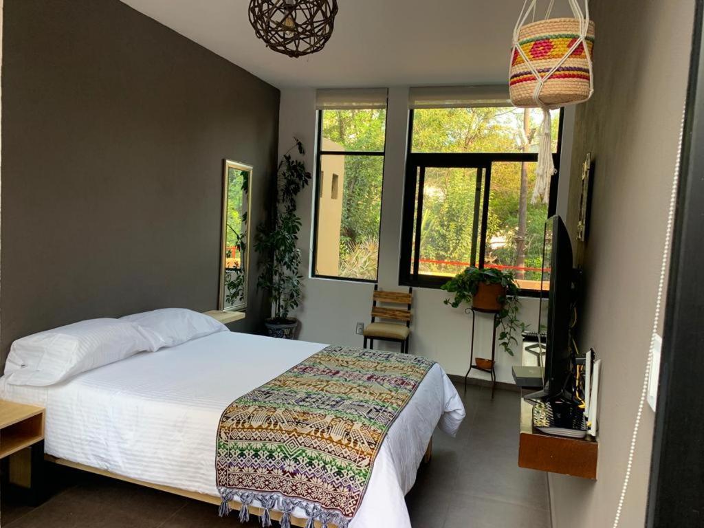 The Reef House Condesa Bed & Breakfast *