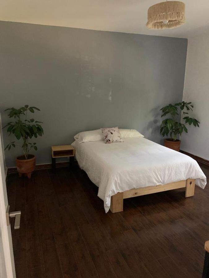 Bed & Breakfast The Reef House Condesa Mexico City