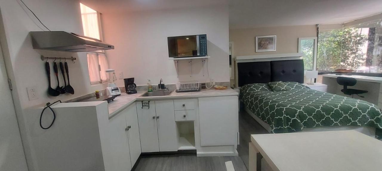 Apartamento Lovely Loft At The Business Heart Of Mexico
