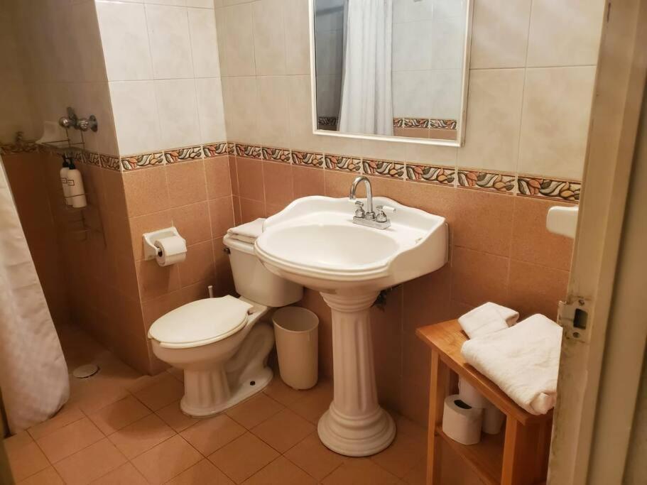 Apartamento Juub Cozy @ Copilco Unam México DF