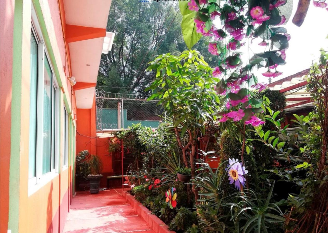 Hermoso Depa De 3 Recamaras Y 2 Banos En El Centro De Coyoacan Mexico City