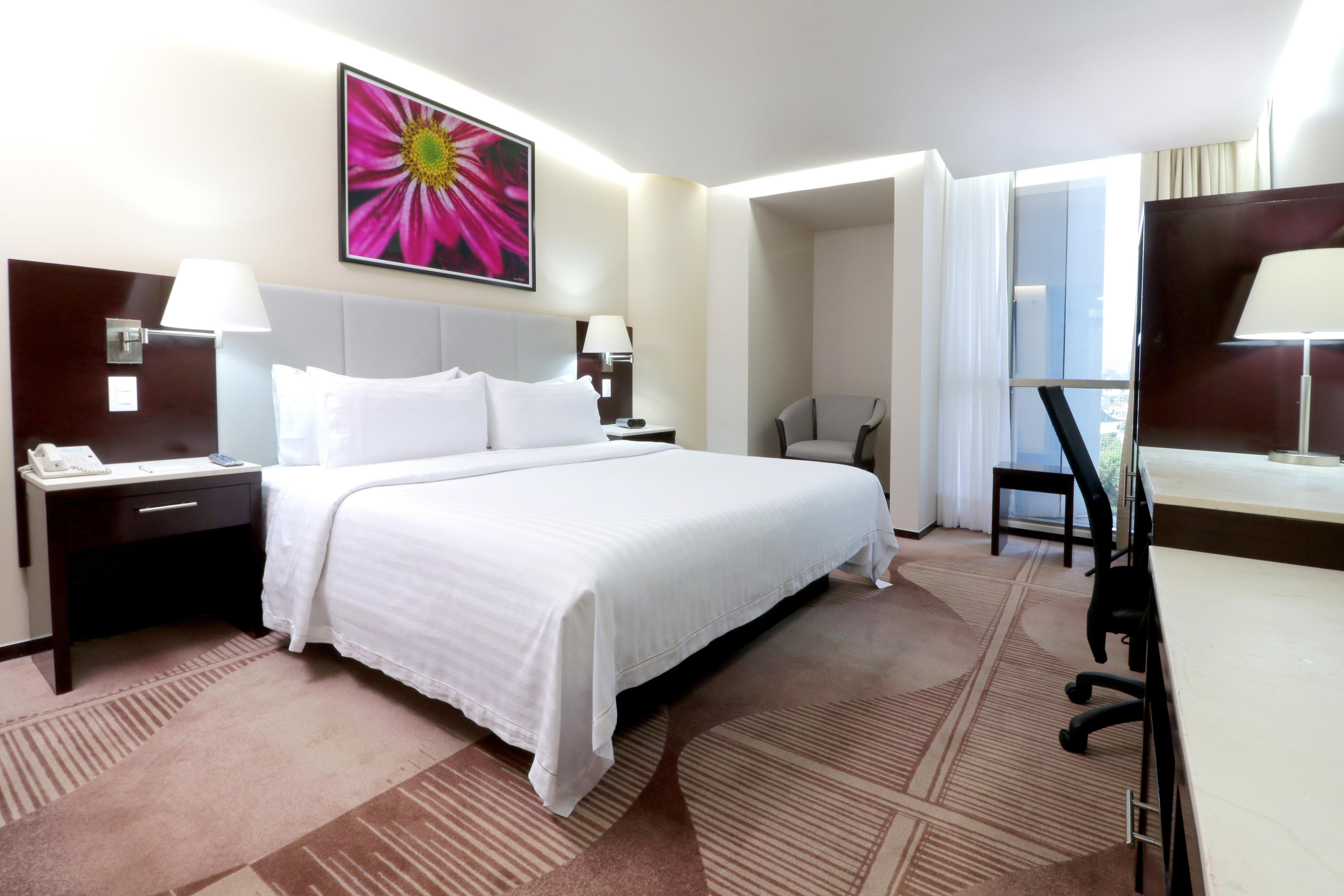 Hotel&suites Medica Sur, An Ihg 4*