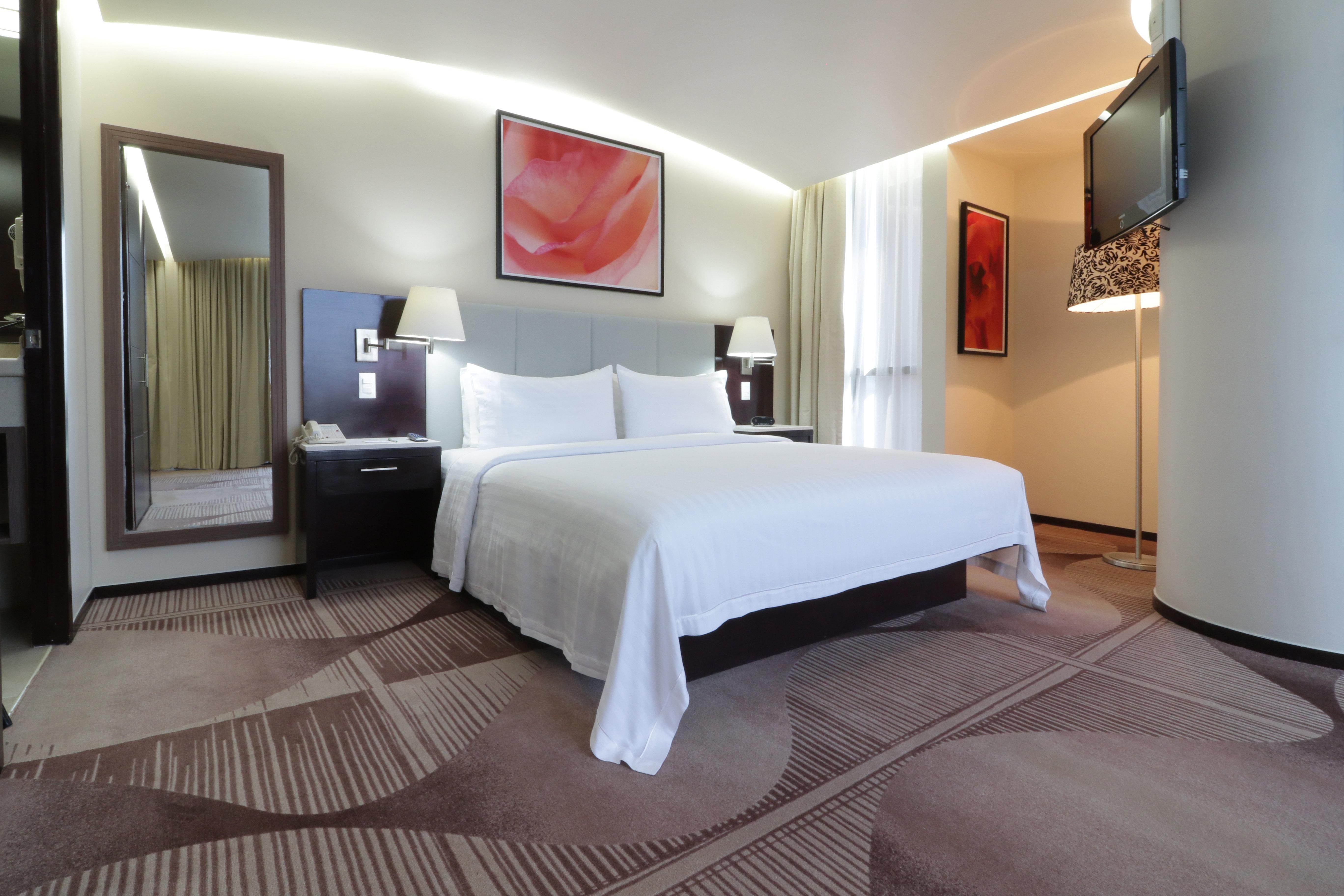 Hotel&suites Medica Sur, An Ihg Hotel 4*