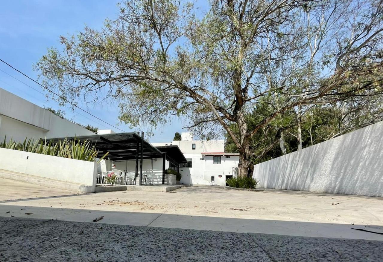 Bed & Breakfast Casa Bonsai Mexico City