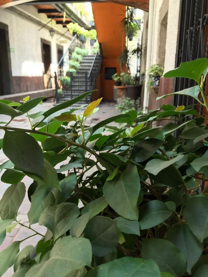 Casa Mesones México DF