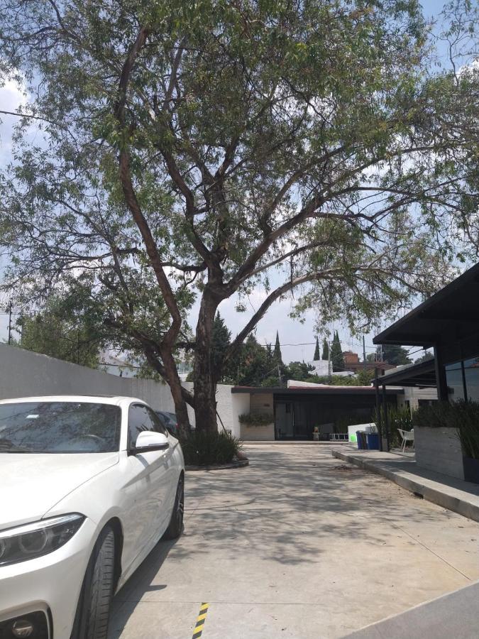 Bed & Breakfast Casa Bonsai Mexico City