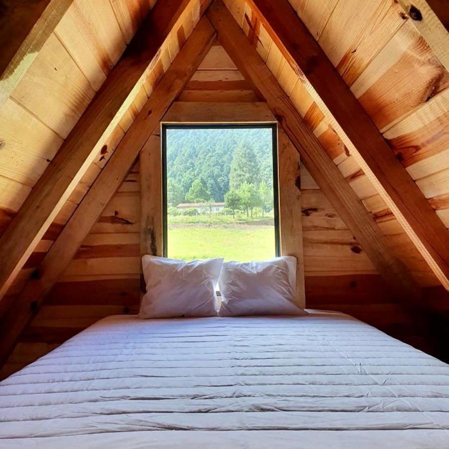 Bosque De Perlillas Camping