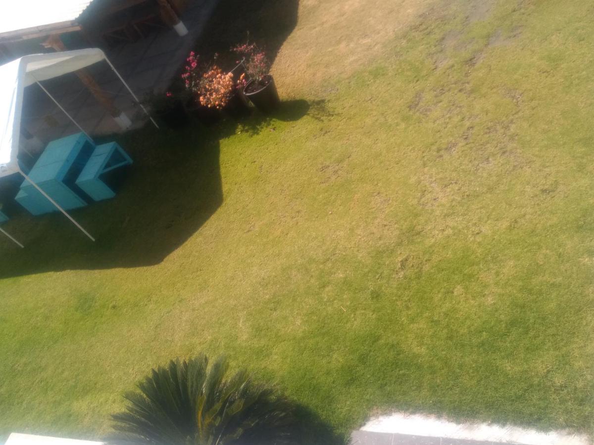 Apartamento Xochimilco Hermoso Departamento Loft Junto A Trajineras