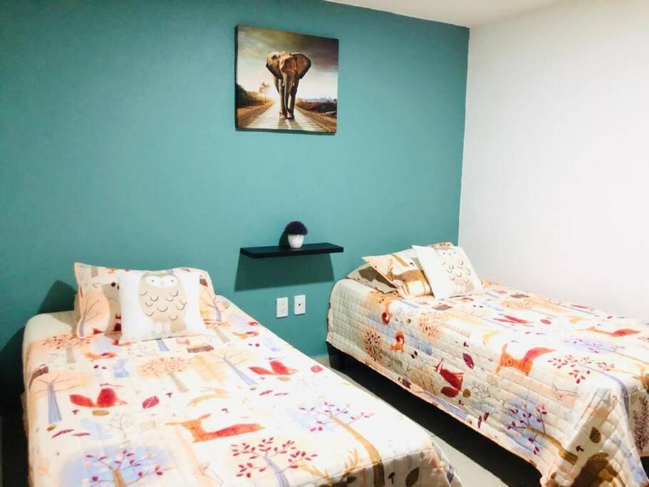 Tu Refugio En Cdmx Cerca Del Foro Sol Y Del Aicm México DF
