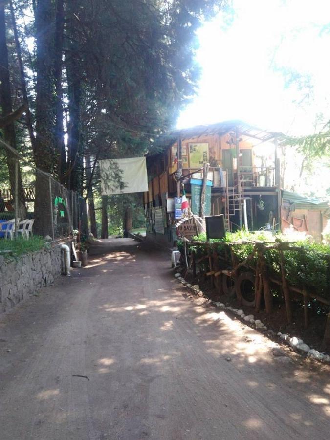 Camping Dinamos Mx - Paidos