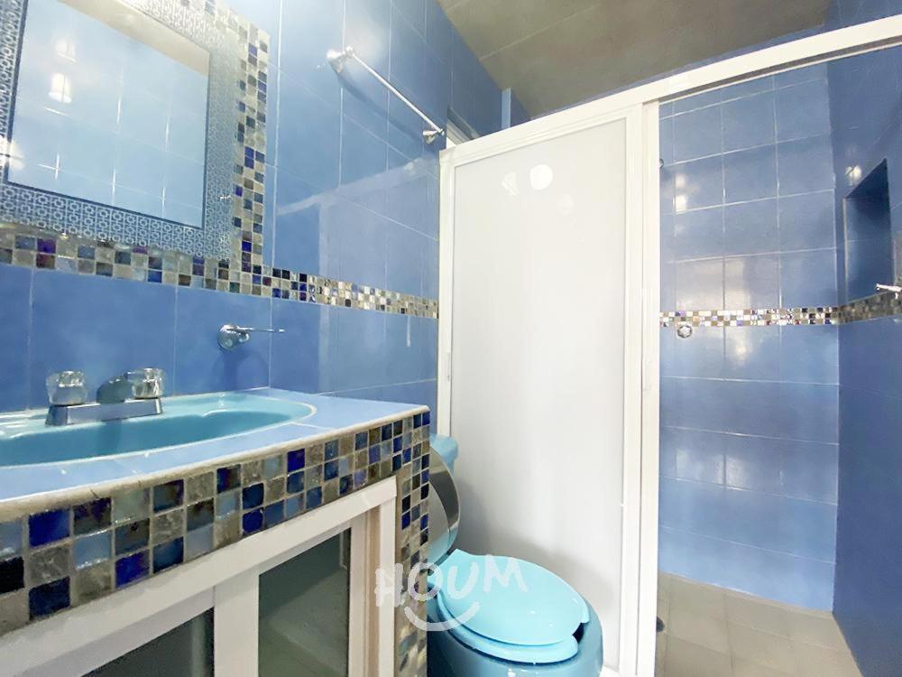 Hermoso Depa De 3 Recamaras Y 2 Banos En El Centro De Coyoacan Apartment